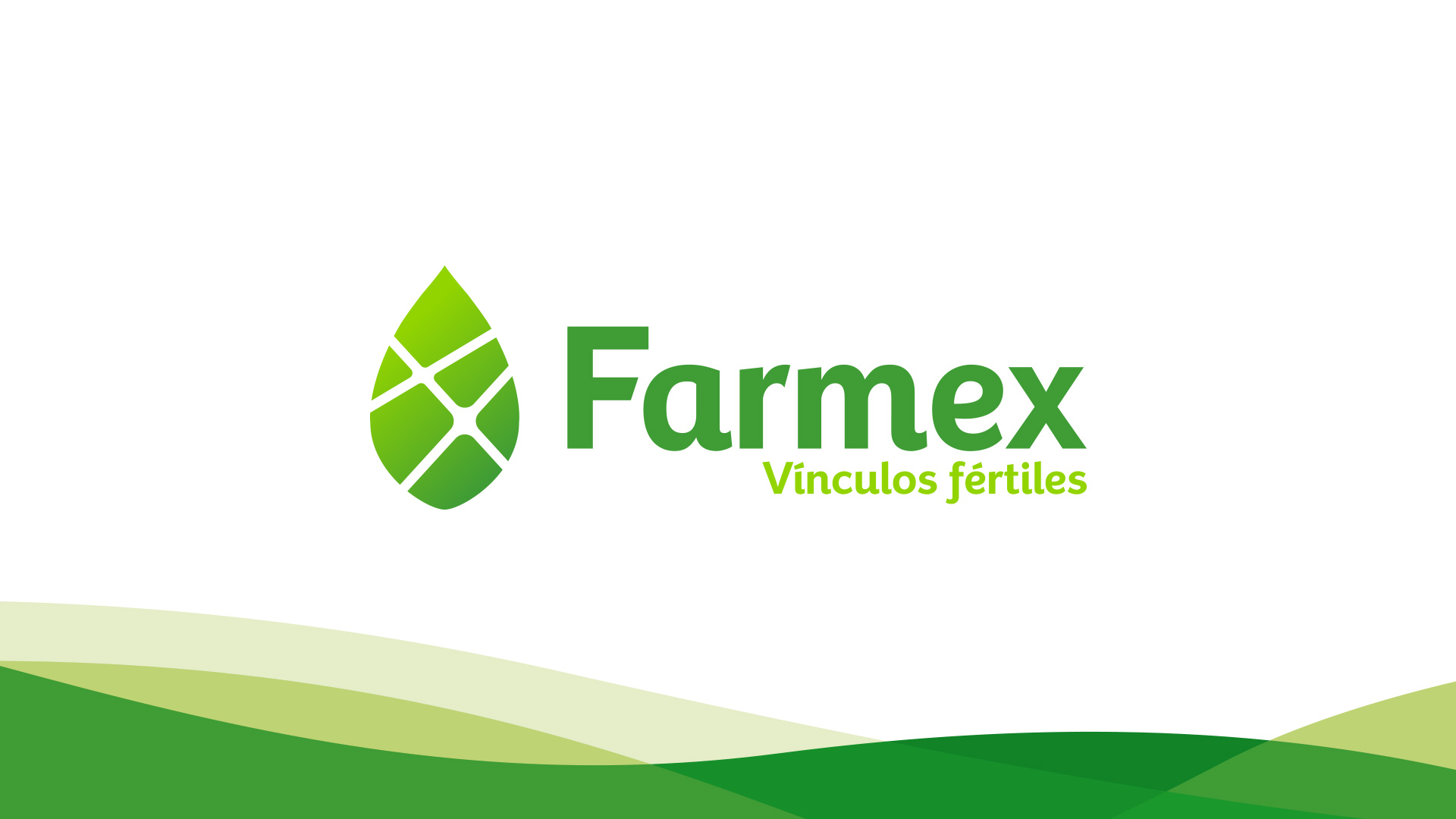 Farmex-icorporativa-01