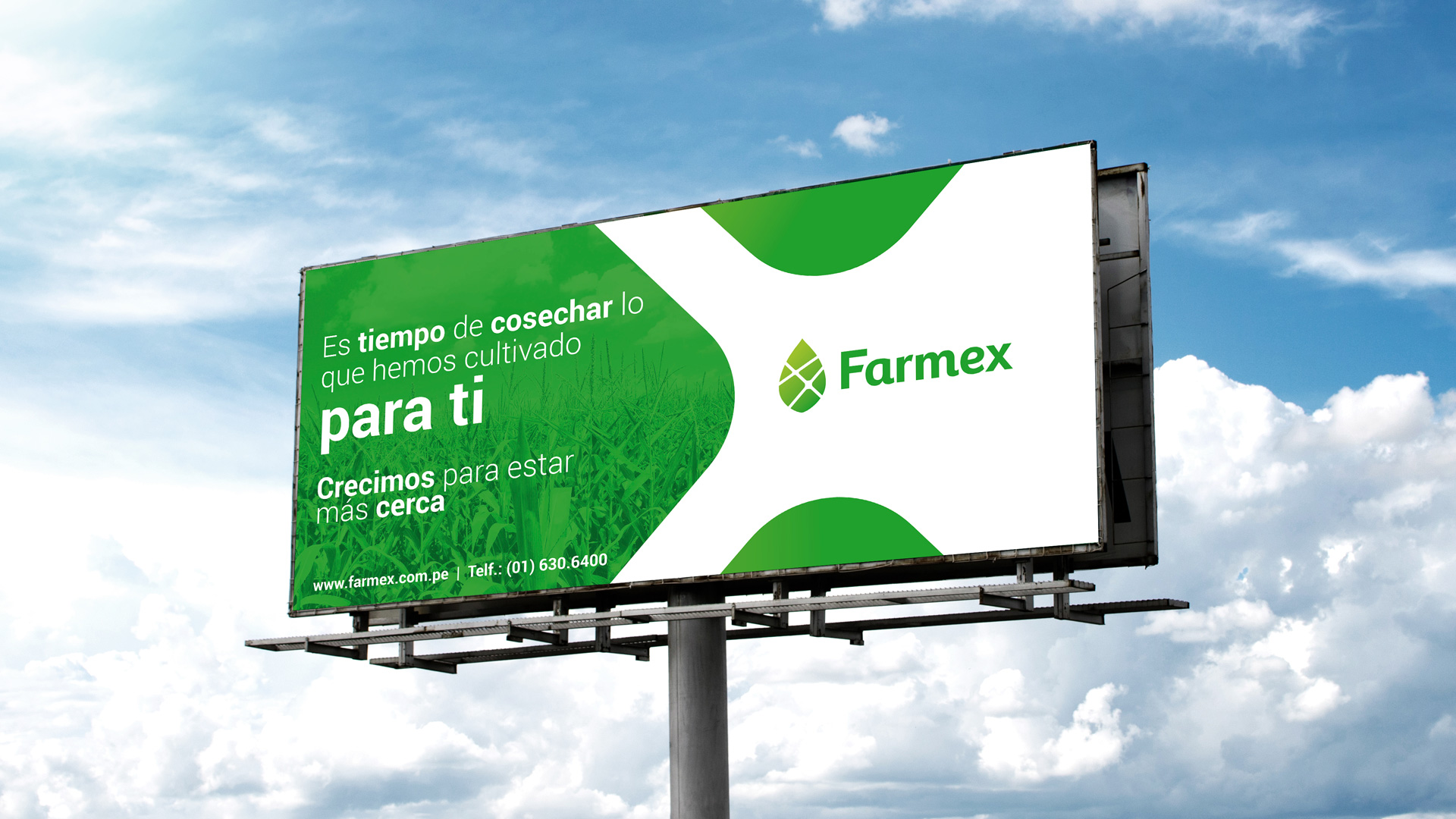 Farmex-icorporativa-26