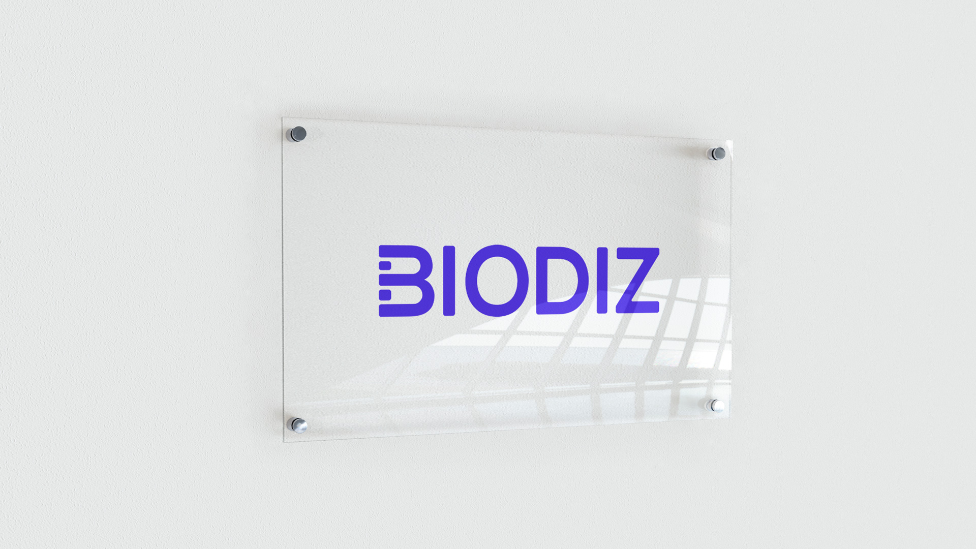biodiz-04