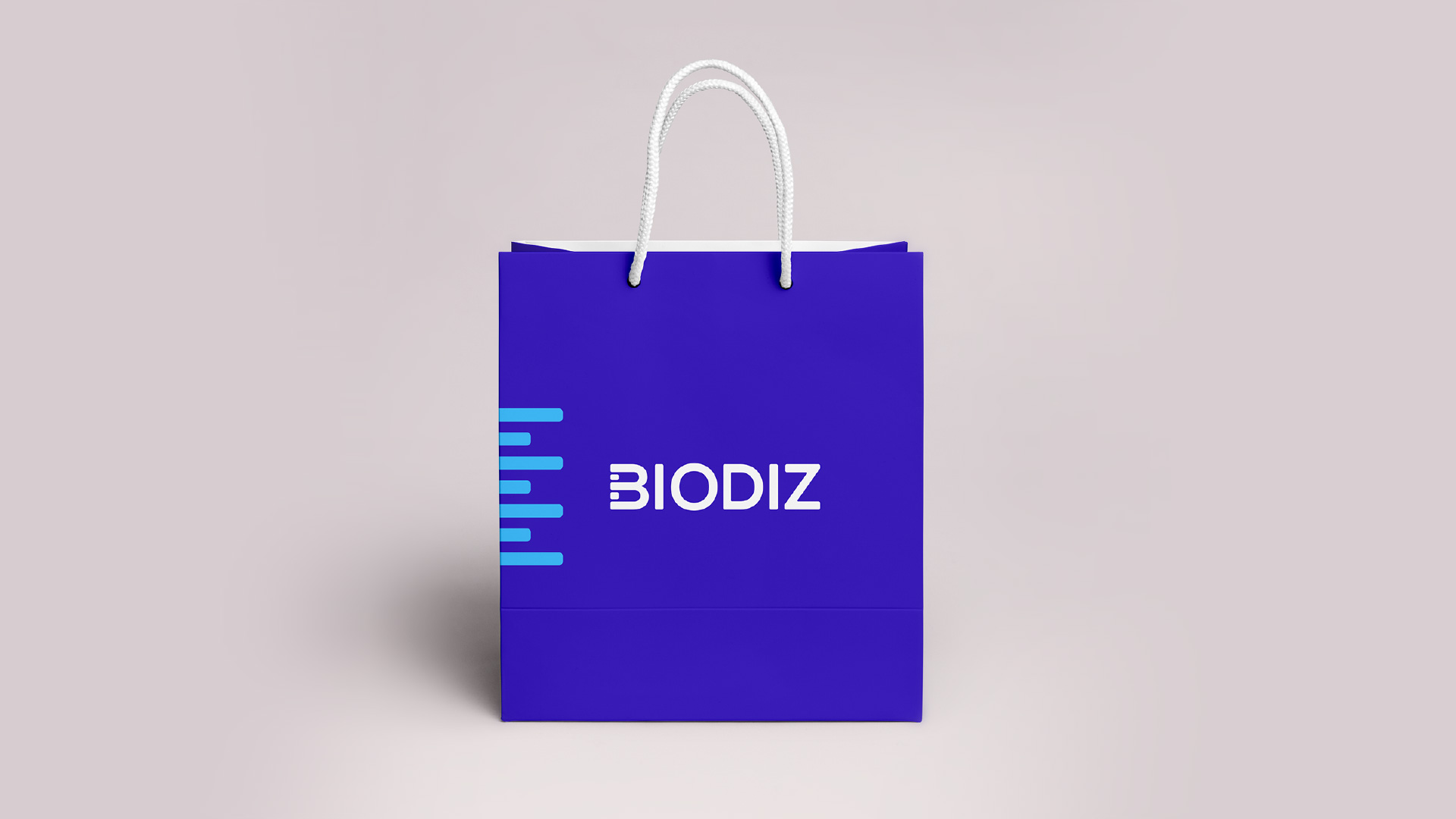 biodiz-11