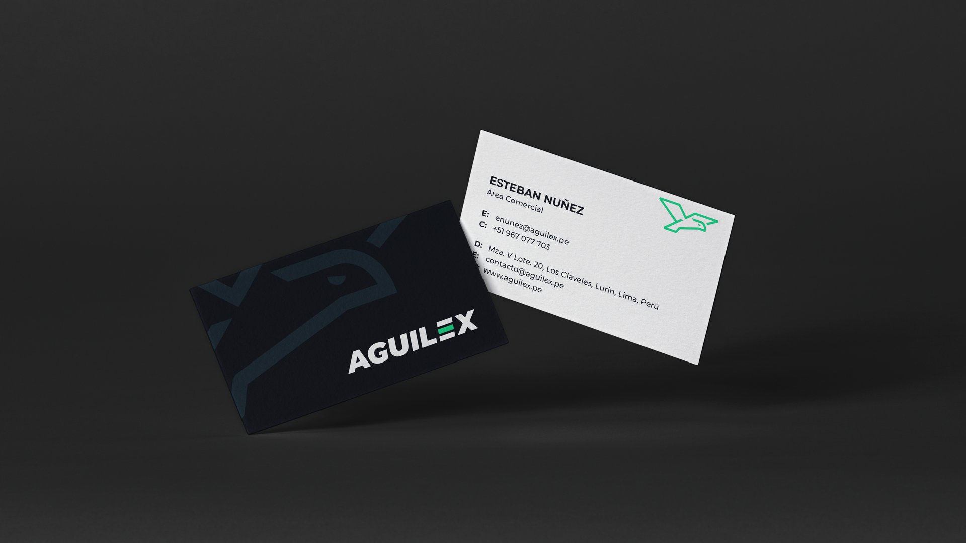 Aguilex-icorporativa-06