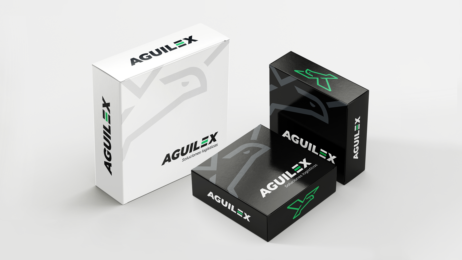 Aguilex-icorporativa-10