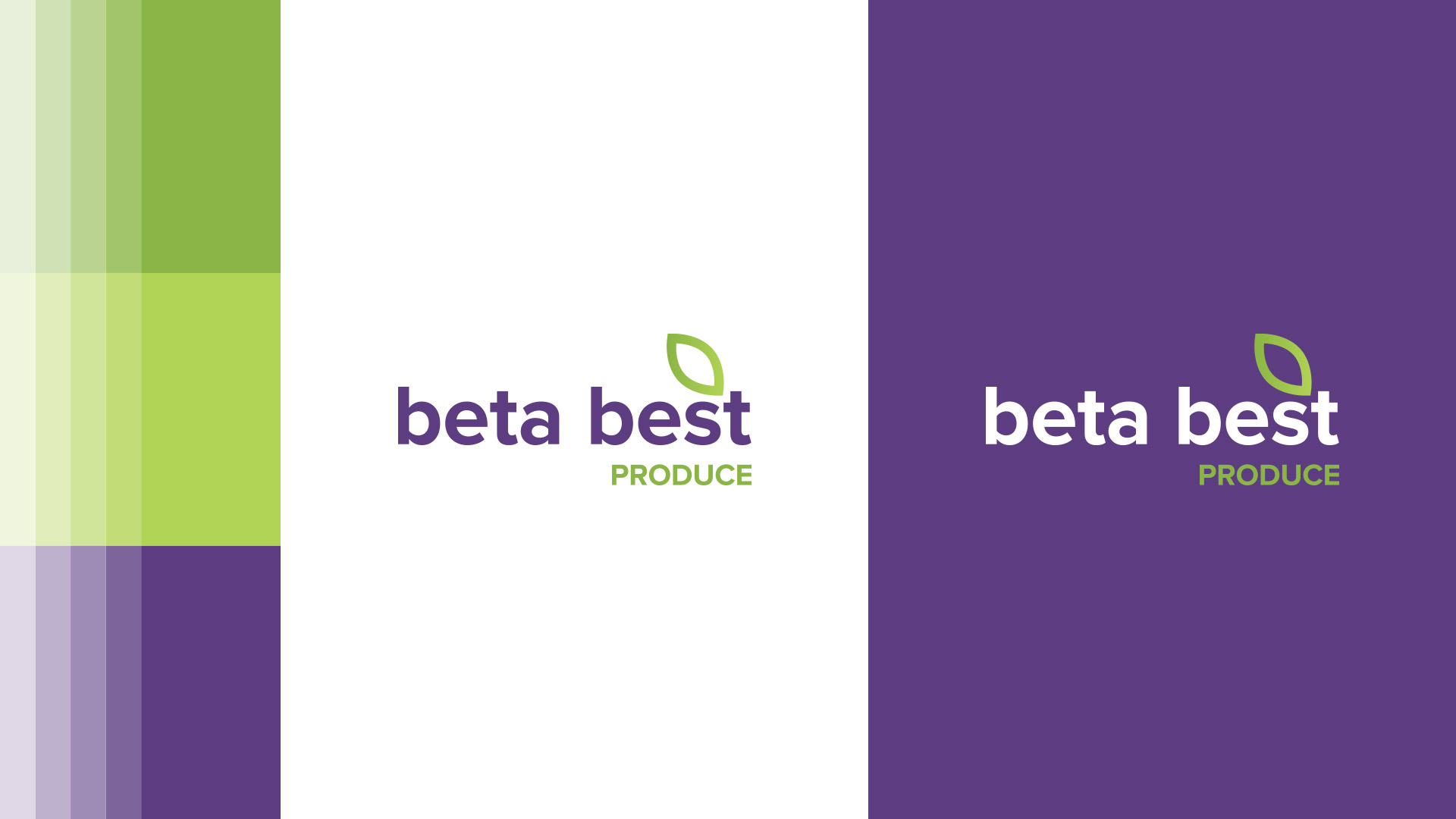 BetaBest-icorporativa-02